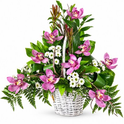 Kosz orchidei i chryzantem